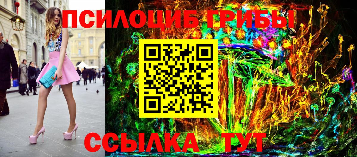 Горно-Алтайск  Псилоцибиновые грибы прущие грибы  Вход с VPN 