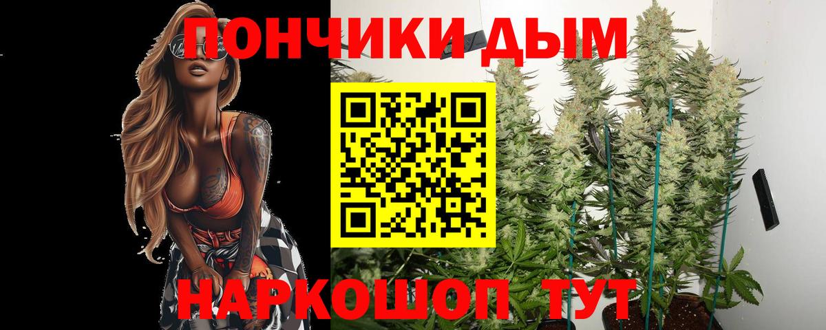 Шишки марихуана конопля Горно-Алтайск
